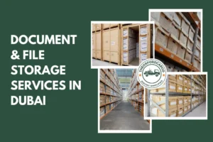 Document & File Storage Services in Dubai