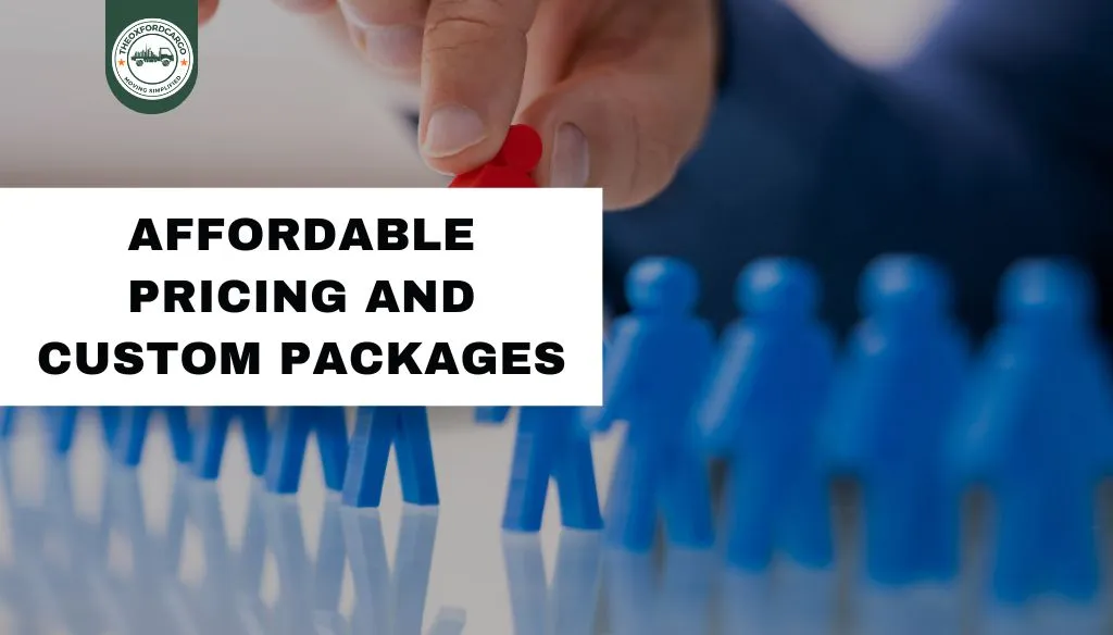 Affordable Pricing and Custom Packages