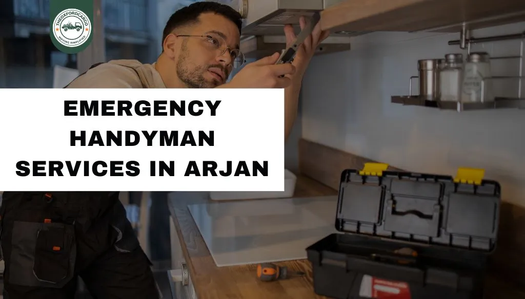 Emergency Handyman Services in Arjan