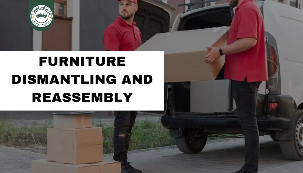Furniture Dismantling and Reassembly