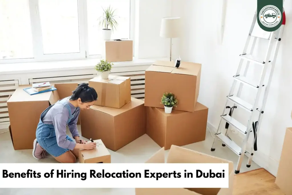 Benefits of Hiring Relocation Experts in Dubai