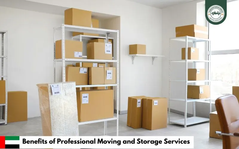 Benefits of Professional Moving and Storage Services