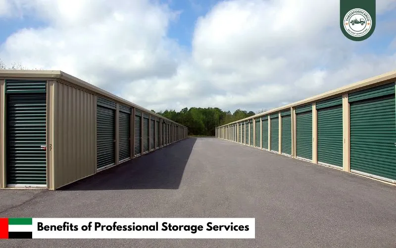 Benefits of Professional Storage Services