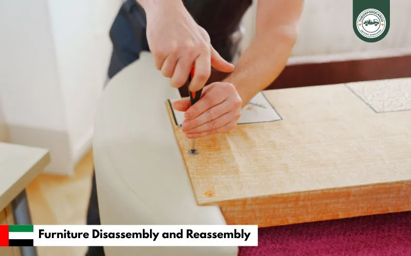 Furniture Disassembly and Reassembly