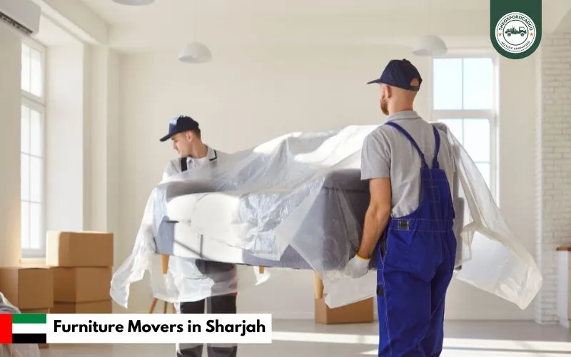 Furniture Movers in Sharjah