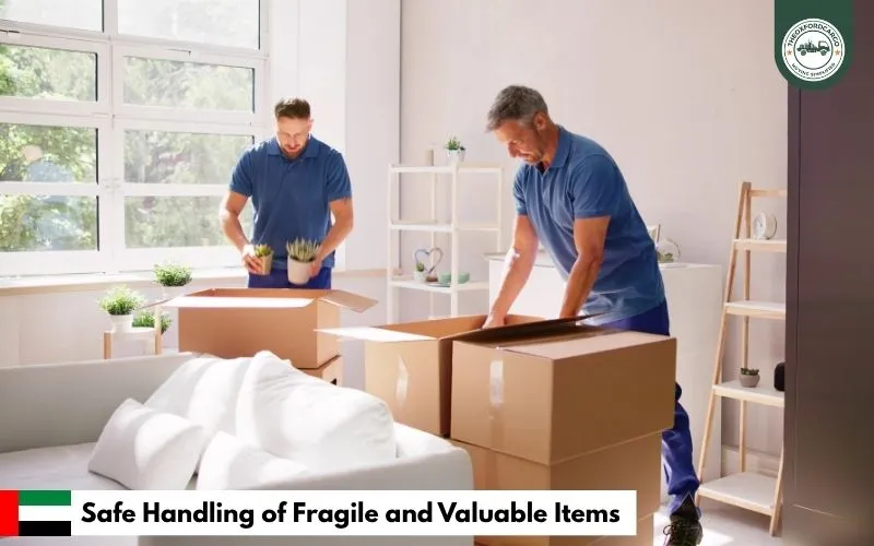Safe Handling of Fragile and Valuable Items